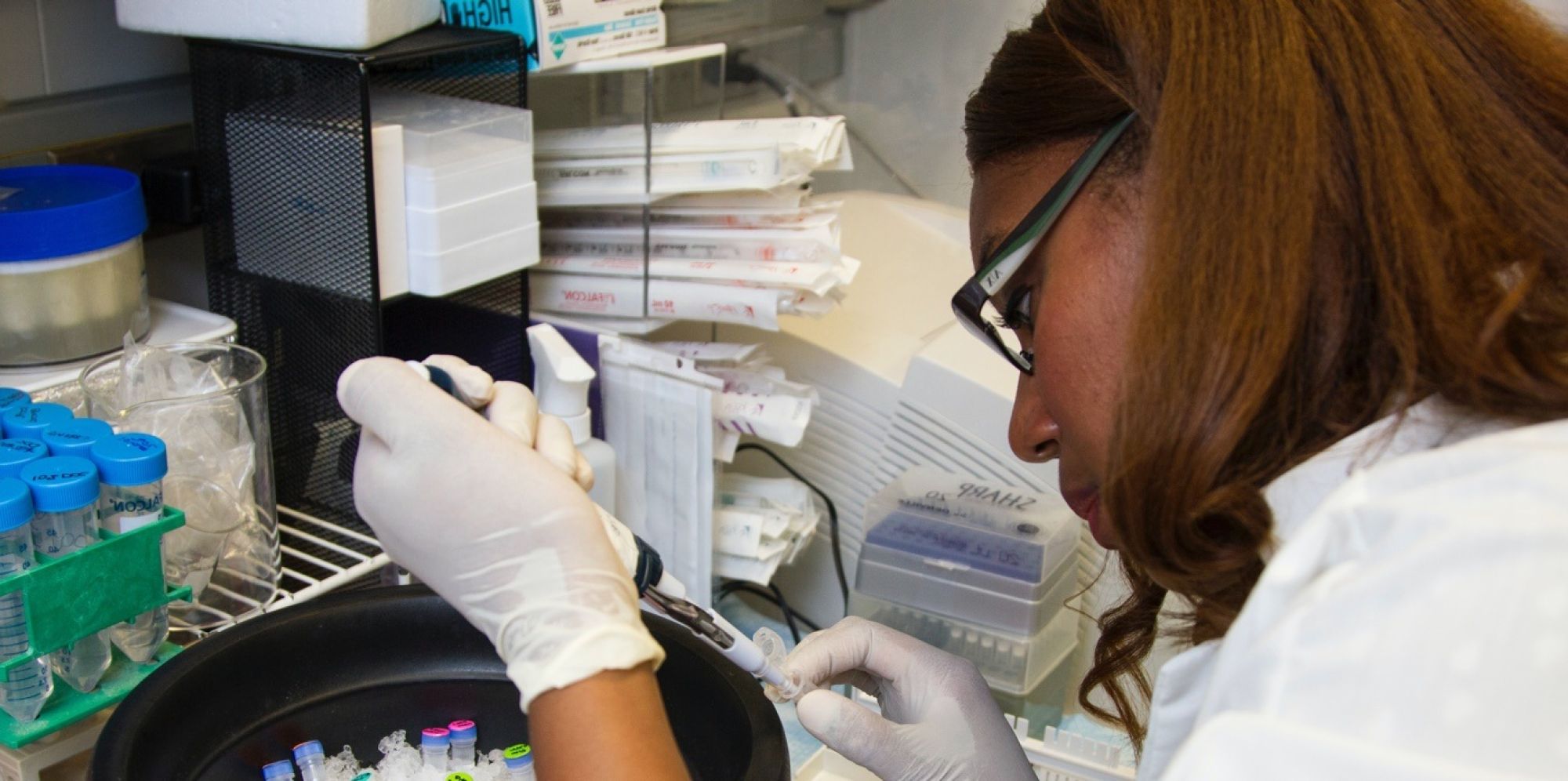 Photo of Person working in a Lab