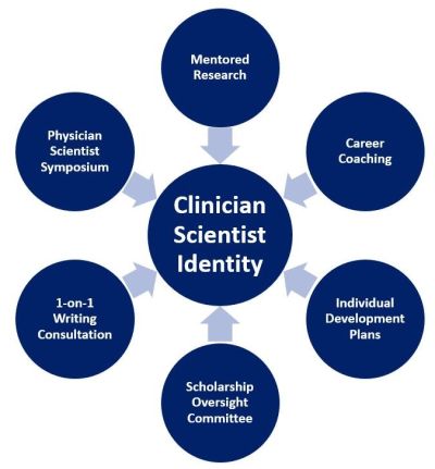 Infographic that shows PRISE builds Clinician Scientist Identity through the following qualities: Mentored Research, Career Coaching, Individual Development Plans, Scholarship Oversight Committee, Writing Consultations, and a physician scientist symposium